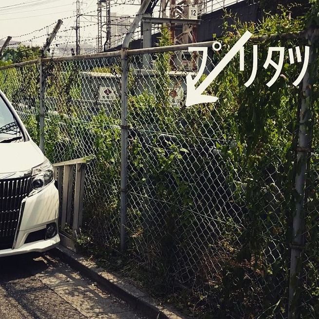 11375231_964075990310176_1746647342_n