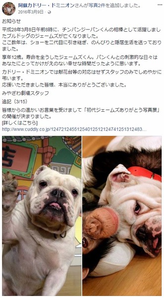 ����ץ���6