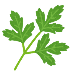 vegetable_italian_parsley