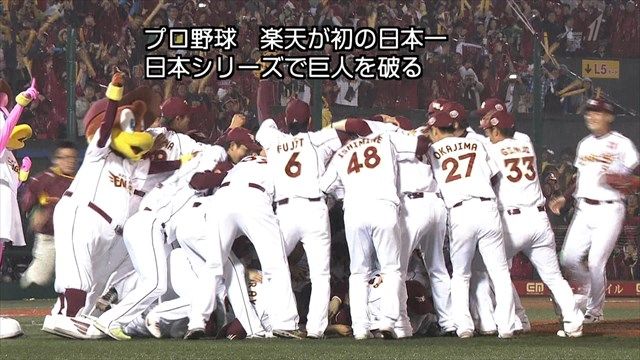 nm75219
