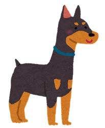 dog_doberman