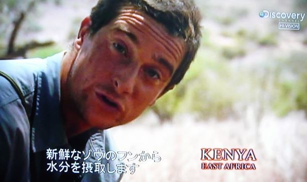 キャプチャ