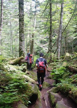 oth14081018000004-p2