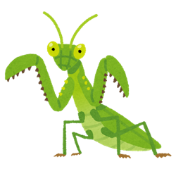 bug_kamakiri
