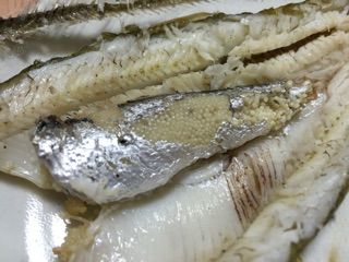 苫小牧の大チカ 卵入り 節約ライフを楽しまなきゃ 苫小牧の大チカ 卵入り 節約ライフを楽しまなきゃ
