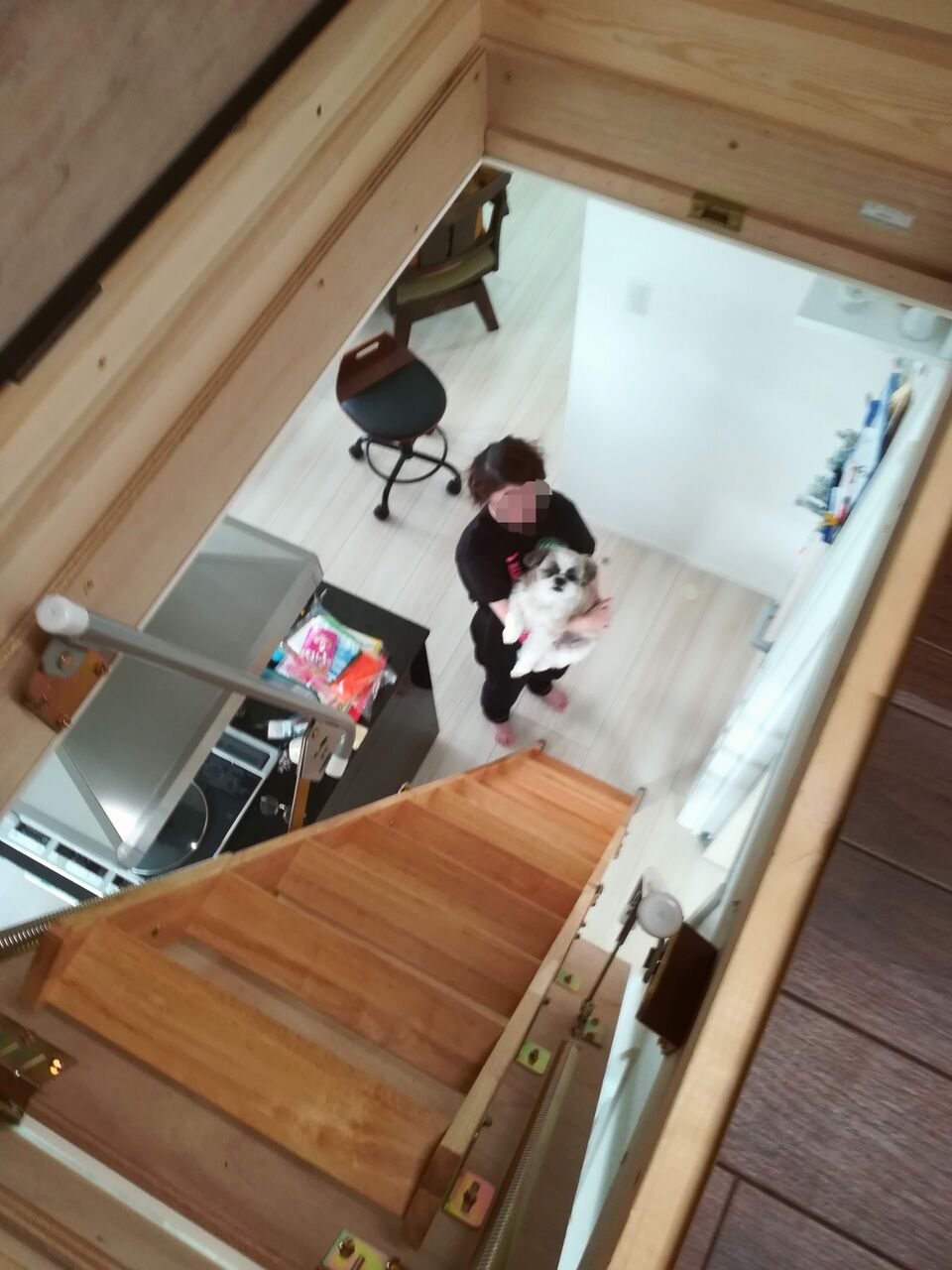 一条工務店i Smart 小屋裏収納が必要な理由 節約ライフを楽しまなきゃ