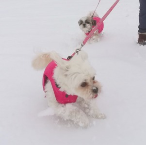 IMG_20201205_233426