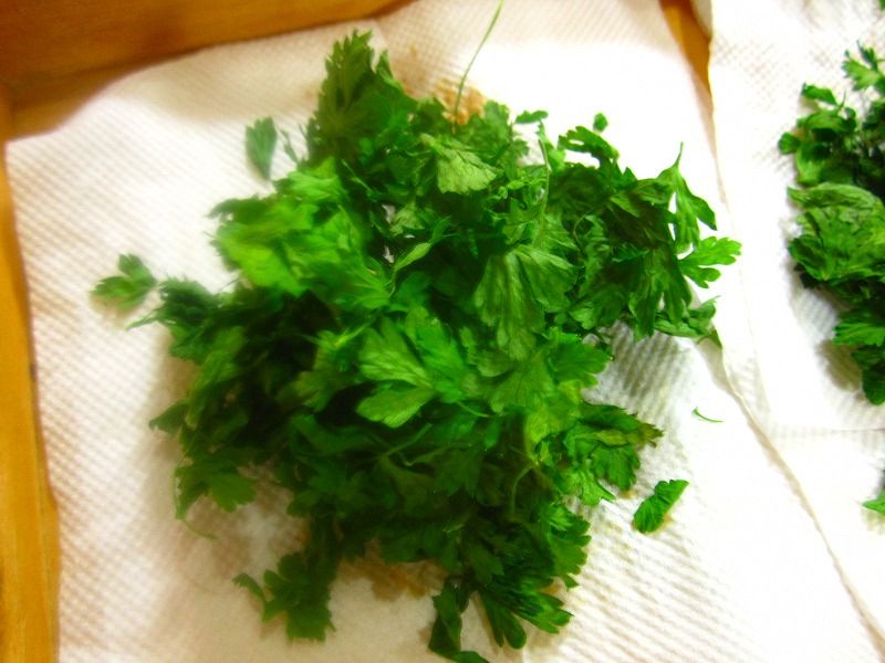 イタリアンパセリの保存 乾燥しました 節約ライフを楽しまなきゃ