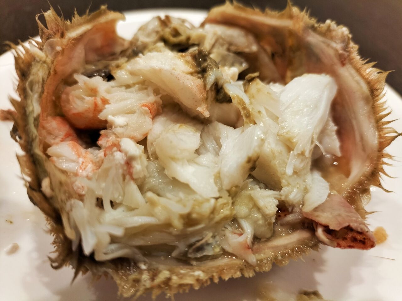 長田鮮魚店で見つけた北海シマエビの生 節約ライフを楽しまなきゃ