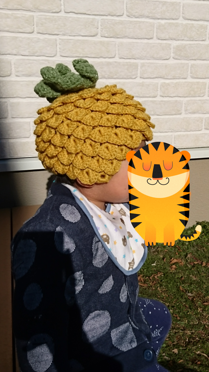 カンタン！かぎ針編み 子供が喜ぶ！フルーツとお野菜＆スイート