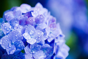 Ǥ衪ʺǯȾʬäƤޤäΤ͡