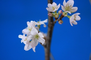 1d95755f.jpg