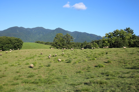 2023-09-24月山高原_2986