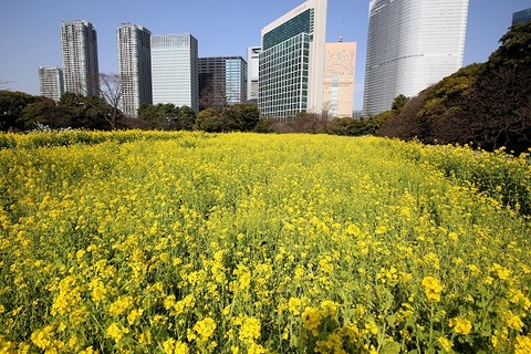 2024-03-16文香前撮り顔合わせ_4575