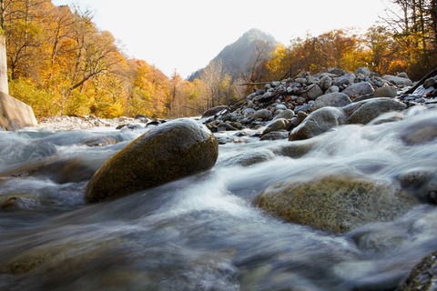 2023-11-03黒沢峠、温み平_4355