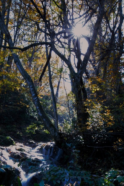 2023-11-03黒沢峠、温み平_4312-2