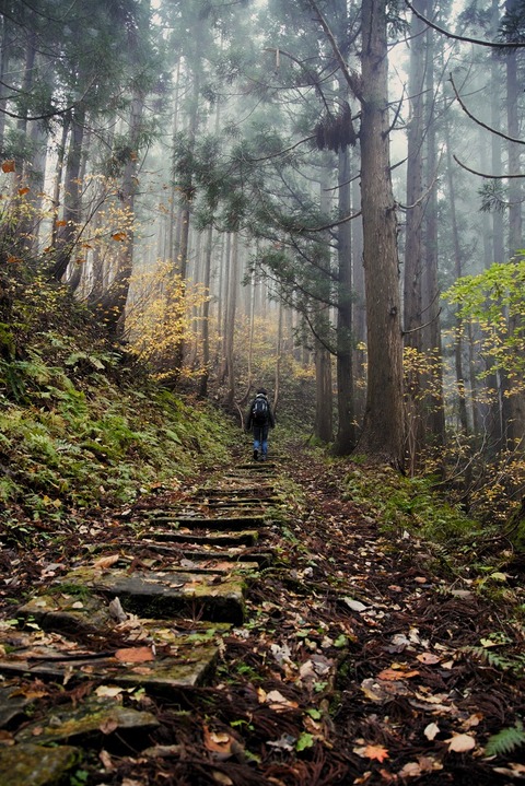2023-11-03黒沢峠、温み平_4071-1
