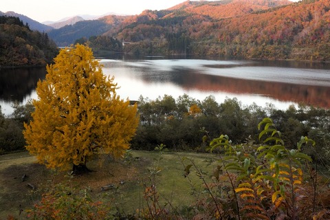 2023-11-03黒沢峠、温み平_4453-2