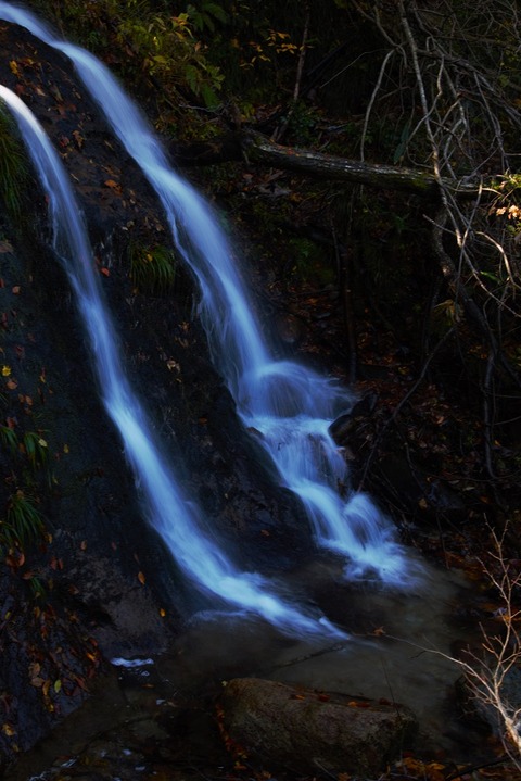 2023-11-03黒沢峠、温み平_4334-2