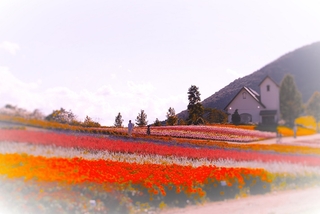 fb062a6f.jpg
