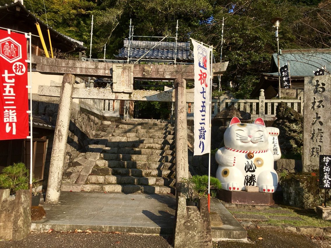 地元の人に親しまれる猫神さん お松大権現 徳島より ふらっと旅