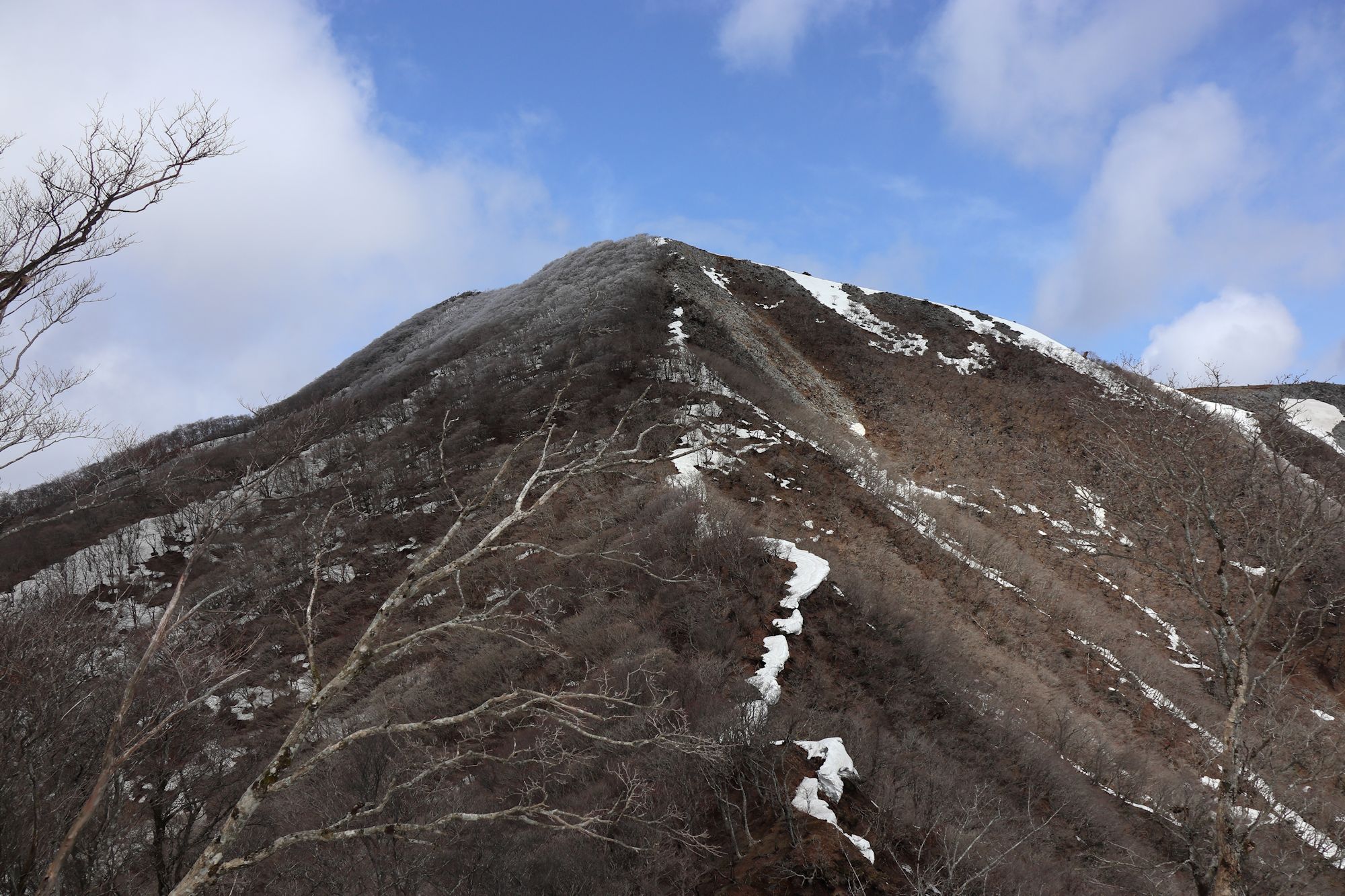 藤原岳 山の風景 ２２年３月２０日 ふらっと山へ