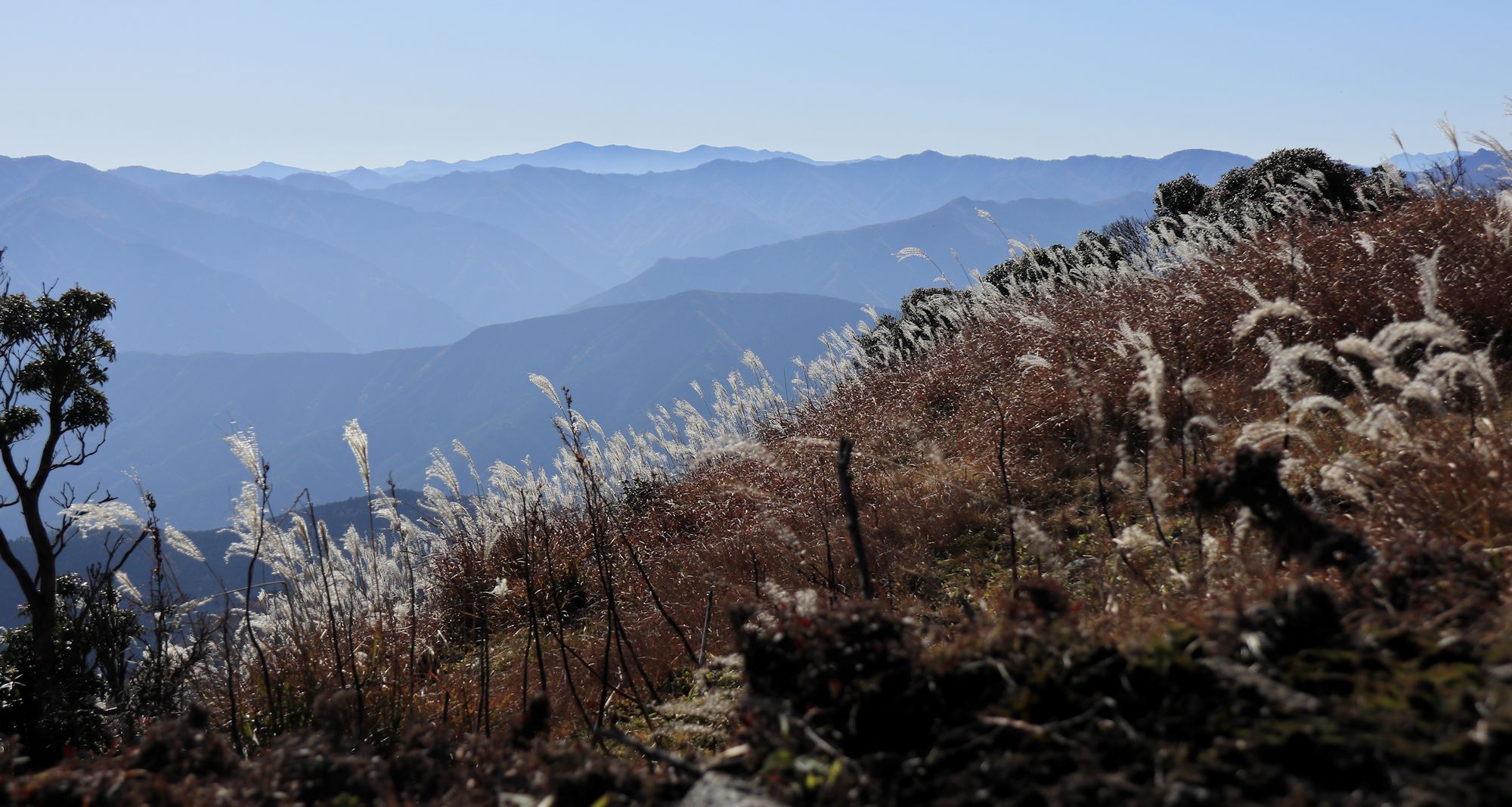 秋の三峰山 みうねやま ふらっと つれづれ帳 旧 ふらっと山へ