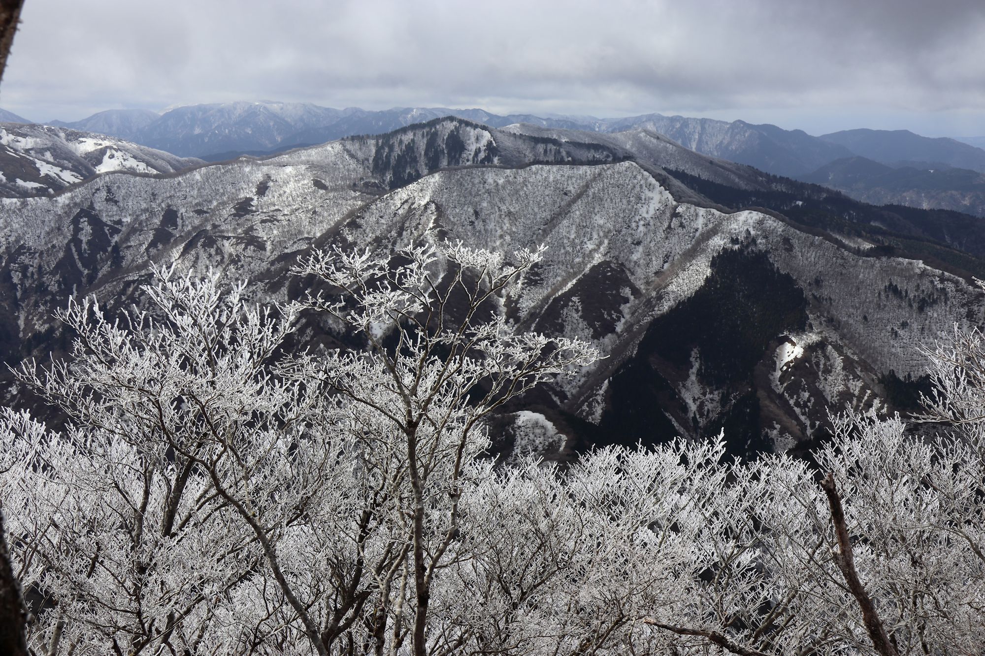 藤原岳 山の風景 ２２年３月２０日 ふらっと山へ
