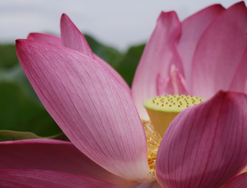 ふらっと つれづれ帳 旧 ふらっと山へ