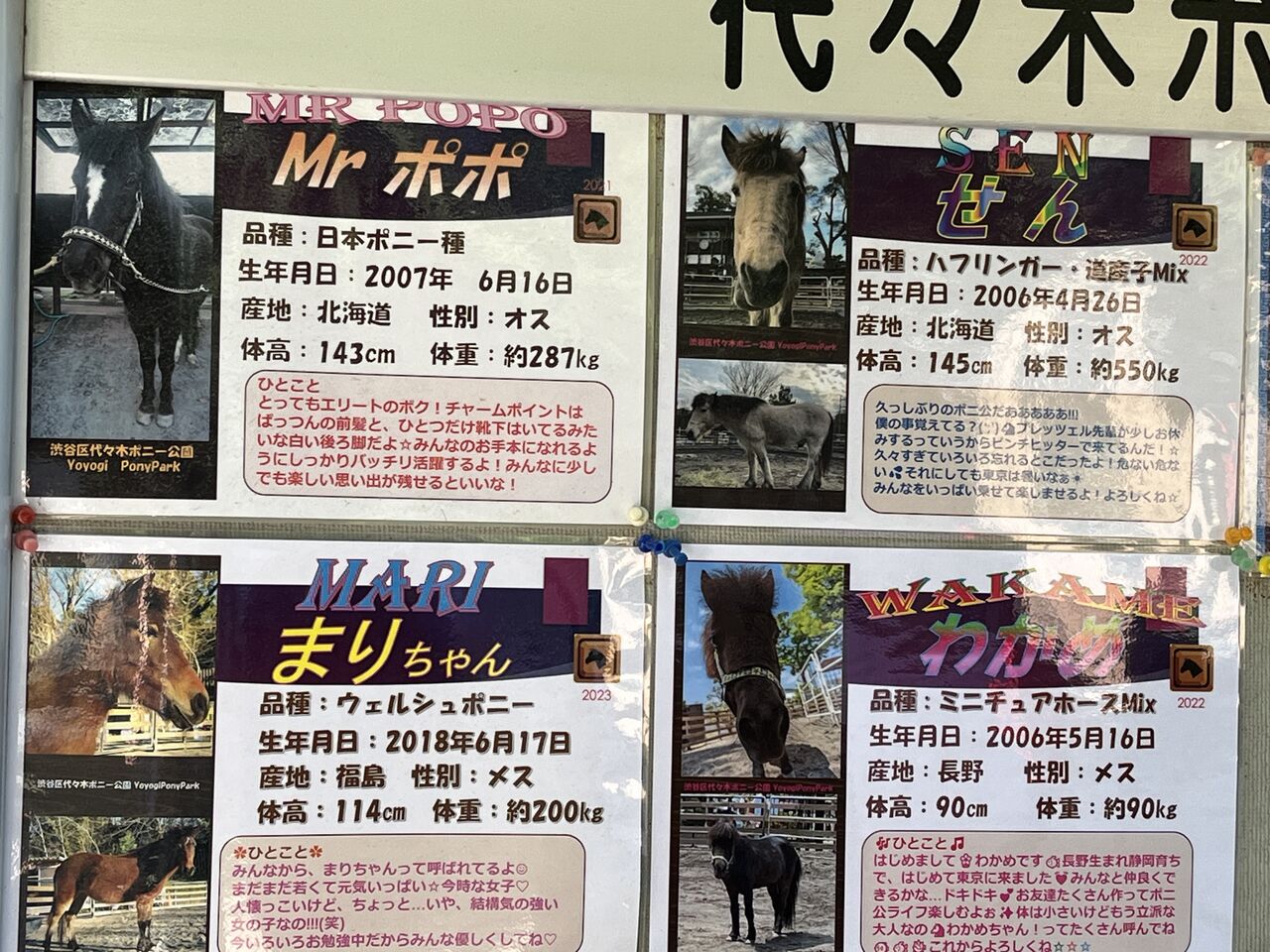 少し小さいタイプが来ました。 紐解け