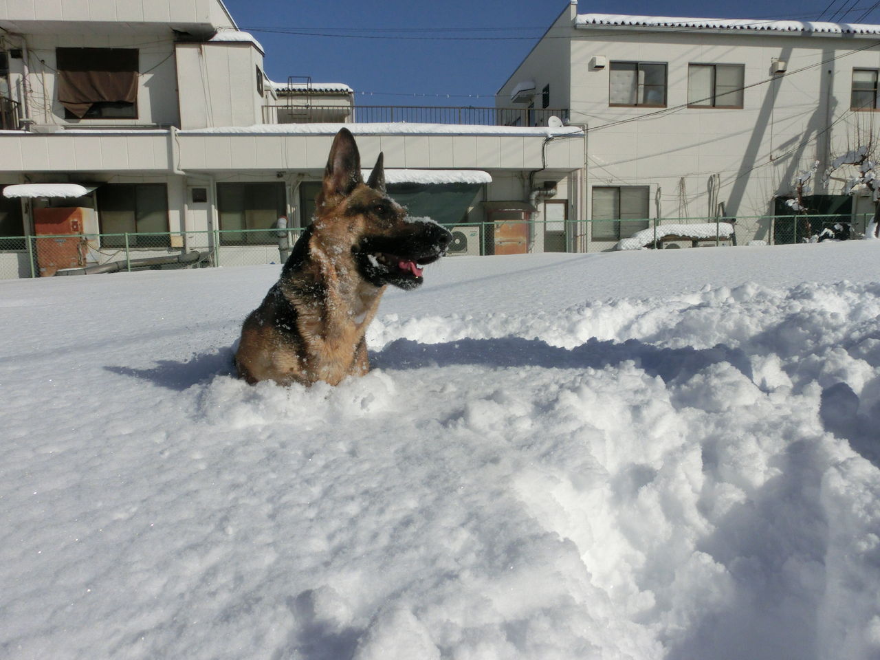 名前の由来 Benの家のden 名前の由来 Benの家のden