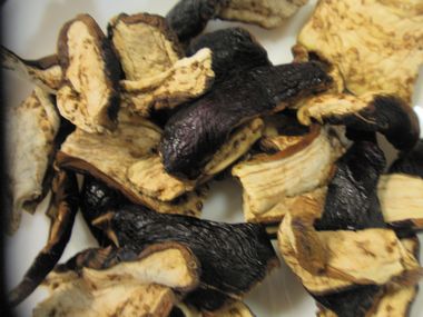 ´³¤·ÌîºÚ¥Ê¥¹