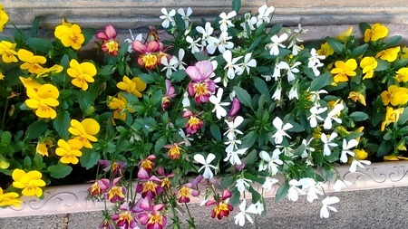 IMG_20210503_183021_copy_1464x824