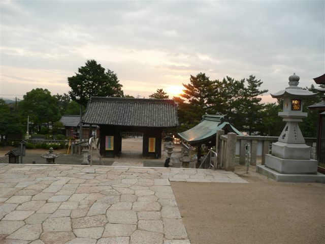 P1010863