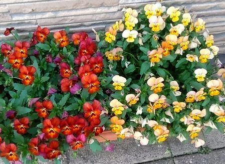 IMG_20210503_183037_copy_2857x2081