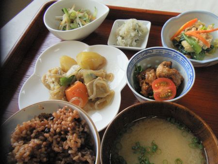 高野豆腐の肉じゃが風3月22日