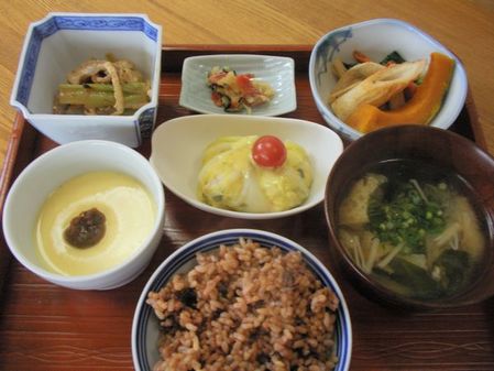 ����ץ����Ҿ����ߴ�ź��3��29��