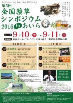 b94ffa441664e697c1accbb7d56c4d8d-250x353