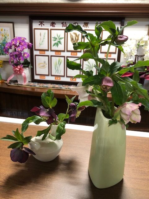 ���ꥹ�ޥ�������2019.2