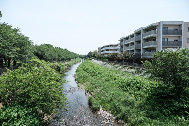 th_DSCF9490