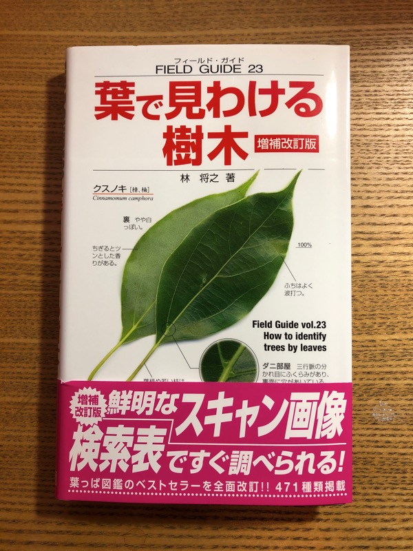 イラスト山行map 小野子三山 三並山 ソラミチ 空の下の路の上から イラスト山行map 小野子三山 三並山 ソラミチ 空の下の路の上から
