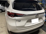 CX-8 (5)
