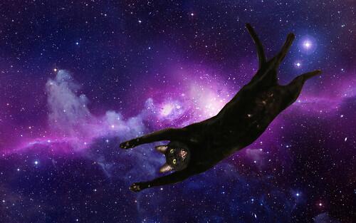 画像 宇宙 猫 謎の組み合わせ スペースキャット が話題にwwwwwwwwwwww 2chまとめちゃん 画像 宇宙 猫 謎の組み合わせ スペースキャット が話題にwwwwwwwwwwww 2chまとめちゃん
