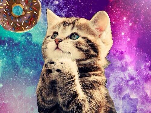 画像 宇宙 猫 謎の組み合わせ スペースキャット が話題にｗｗｗｗｗｗｗｗｗｗｗｗ 2chまとめちゃん