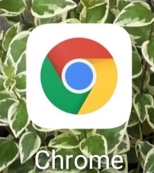 Screenshot_20210225_175034