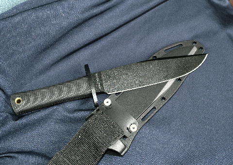 65109fc5.jpg