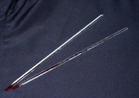 6f6841d8.jpg