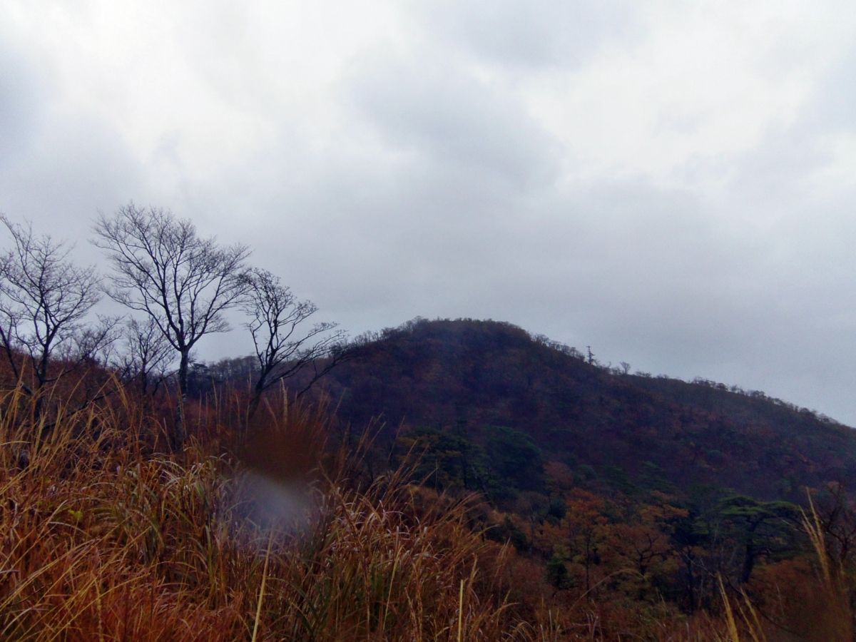 矢岳 宮崎県 登山 A Fのblog 矢岳 宮崎県 登山 A Fのblog
