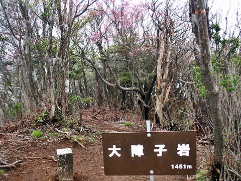 令和元年祖母傾完全縦走 (9)