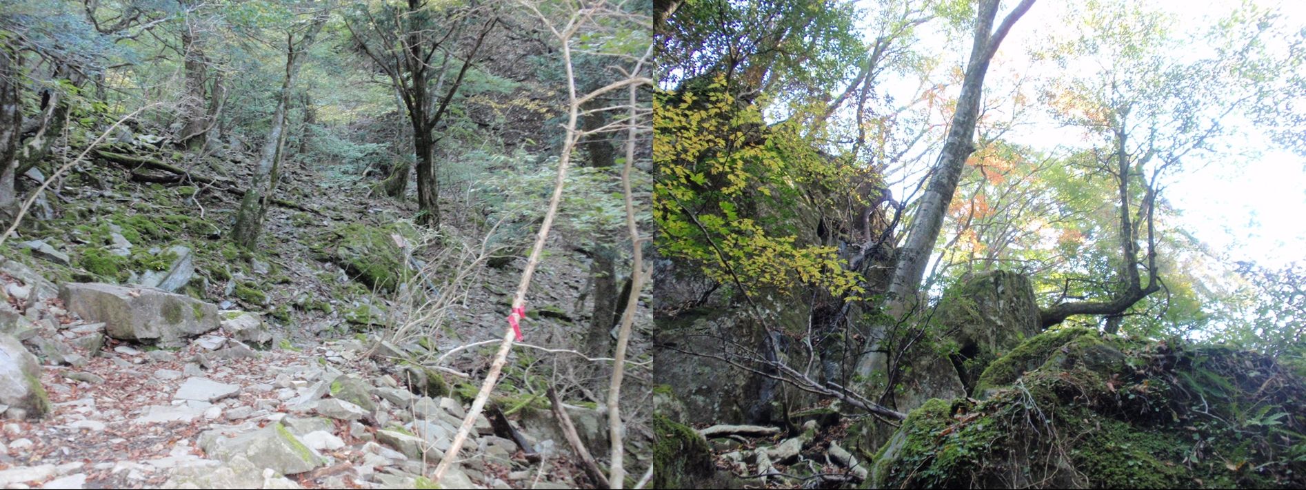 英彦山登山 モアイ像コース A Fのblog 英彦山登山 モアイ像コース A Fのblog